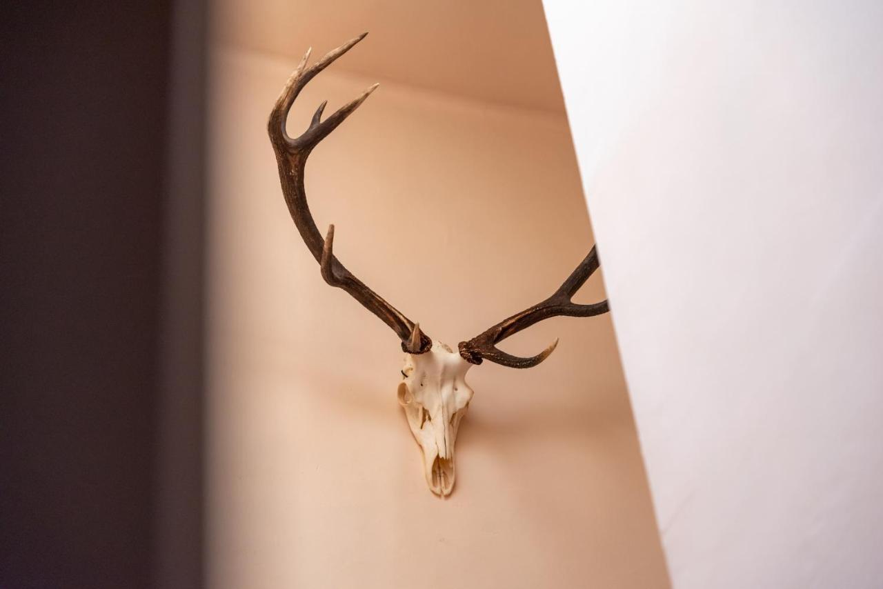 Hotel Le Cor De Chasse Saint-Hubert Esterno foto